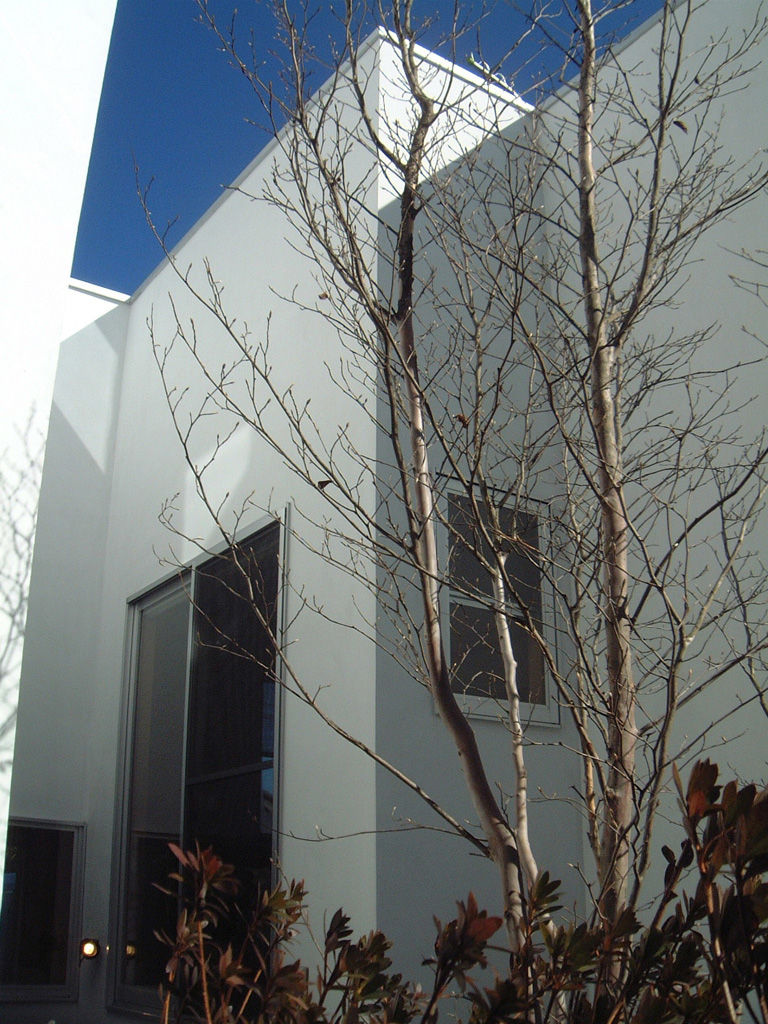 プレタポルテの家 | デザイン住宅の株式会社ぶすじま建設